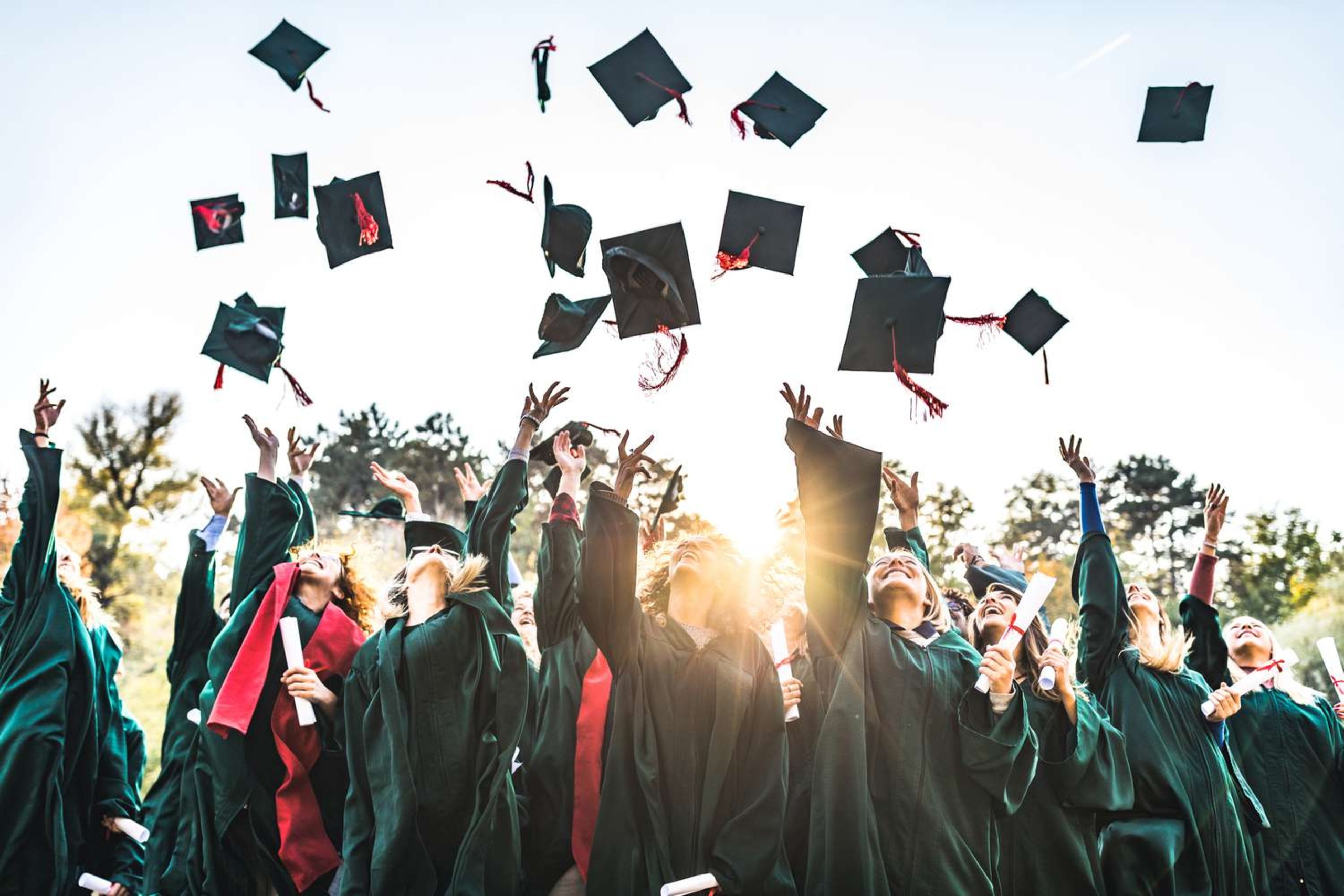 Testimony by our Master and bachelor degree graduates